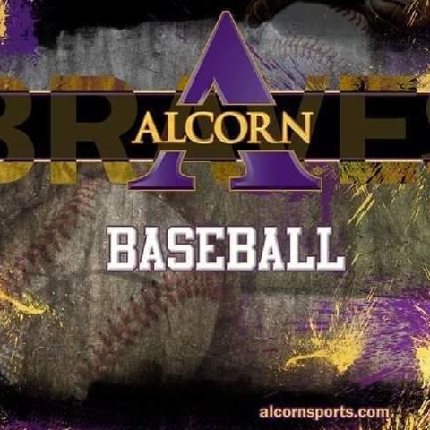Final Prairie View 15 Alcorn State 6 Baseball Head Coach Reggie Williams Post Game