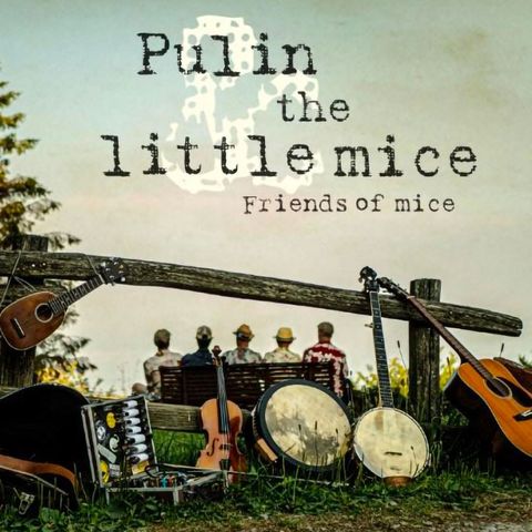 Promozione musicale - PULIN & THE LITTLE MICE