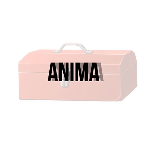 EP. 4 - Anima