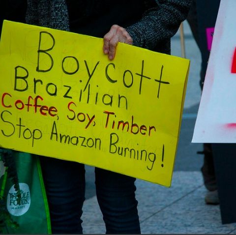 Amazzonia: i fondi d'investimento non abbandonano il Brasile