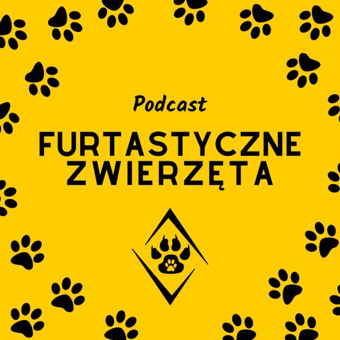 1: Jak powinna wyglądać prawidłowa dieta kota - Marek Busza