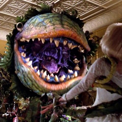 30 - You've Never Seen Little Shop of Horrors!?