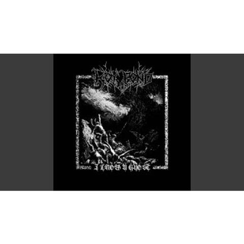 Koy Pond - I Know A Ghost