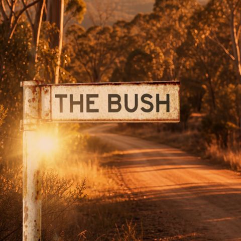 The Bush