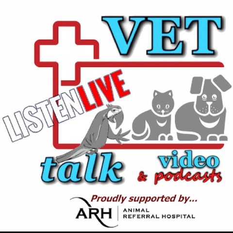 'LIVE' - All About 'Connecting Paws' with Sarah Curtis & Liz Armstrong