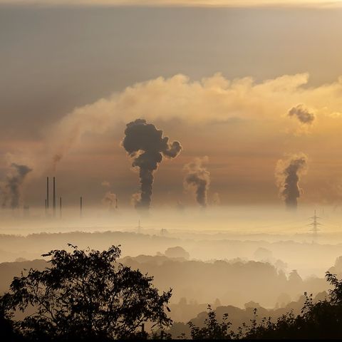 Endangered - Le città polacche più inquinate di Pechino