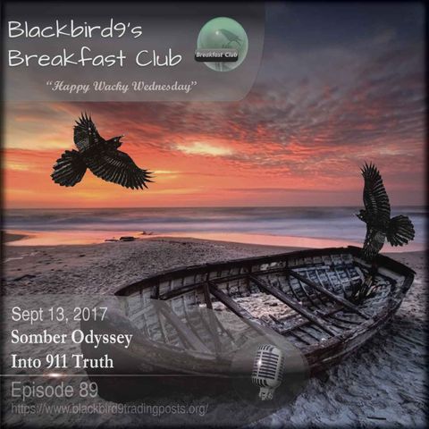 Somber Odyssey Into 911 Truth - Blackbird9 Podcast