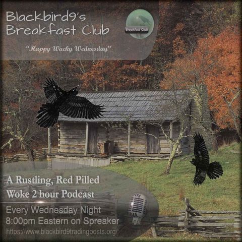 300 Songs In The Key Of Time - Blackbird9 Podcast