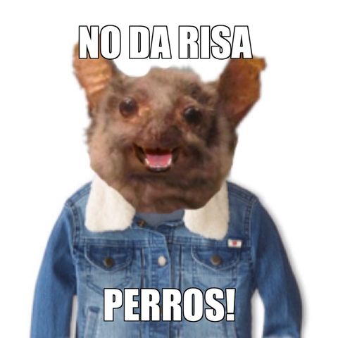 No da risa perros