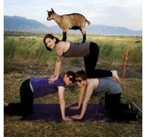 Paige from Utah Goga Guys well Share  Goat Yoga !