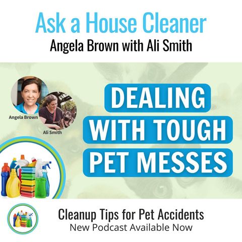 Cleaning Up Tough Mishaps After Your Furry Friends With Ali Smith