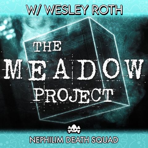 188: The Meadow Project w/ Wesley Roth | Nephilim Death Squad