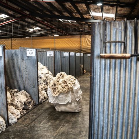 Andrew Partridge from Michell Wool on a week of 'normalising' for Australian wool markets