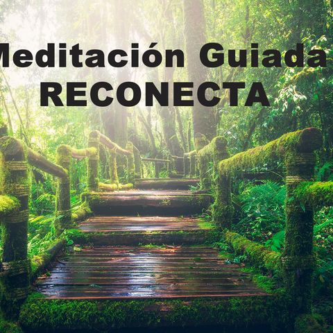 Meditación Guiada RECONECTA