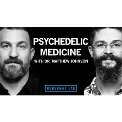 Psychedelics for Treating Mental Disorders _ Dr. Matthew Johnson