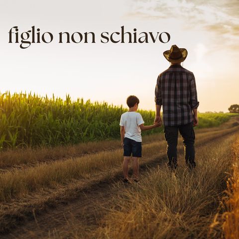 XXVI domenica