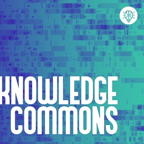 Knowledge Commons - Avance 2024