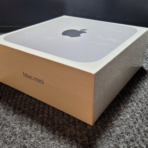 So I bought a Mac Mini with the M1 Chip