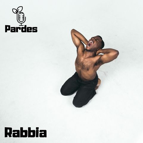 PARDES 036 - f - rabbia