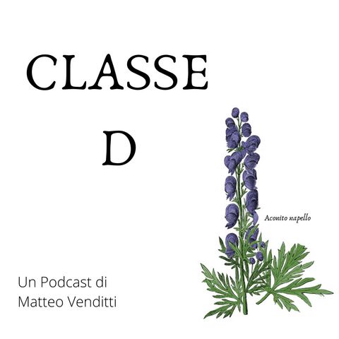 Classe D #6 (29-01-20)
