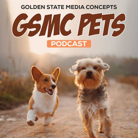 GSMC Pets Podcast Episode 119: Celebrating With Your Pets