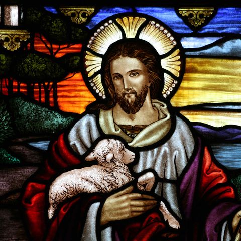 Fourth Sunday of Easter (Year B)—Good Shepherd Sunday - Laying Down Your Life