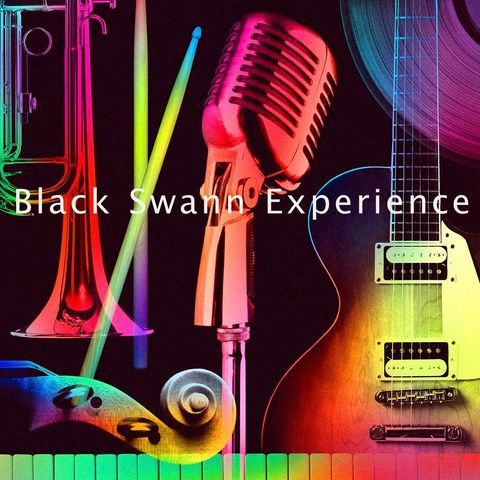 Black Swann Experience Volume 1