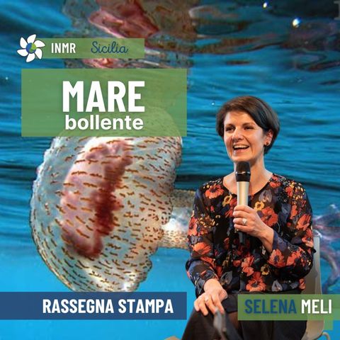 Il mare bolle, cartoni al posto di ingessature e c’è chi sogna di venire a vivere in Sicilia – INMR Sicilia #5