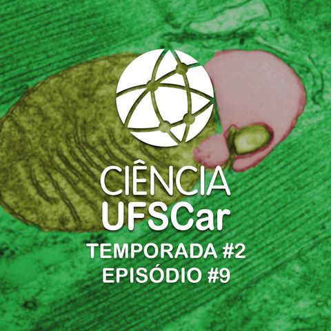 T2 #9 - Pesquisa investiga acúmulo de mutações no DNA mitocondrial com a idade