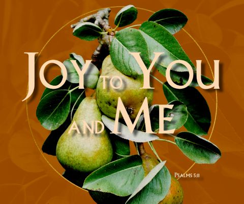 Joy for You and Me
