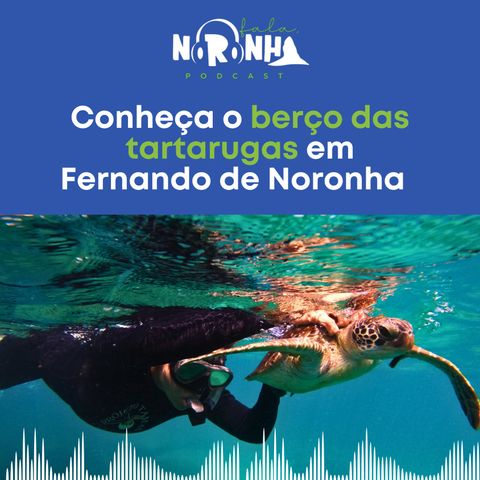 #Ep 41 - Conheça o berço das tartarugas em Fernando de Noronha