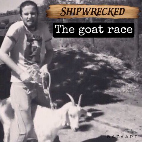 6 shipwrecked - goat race