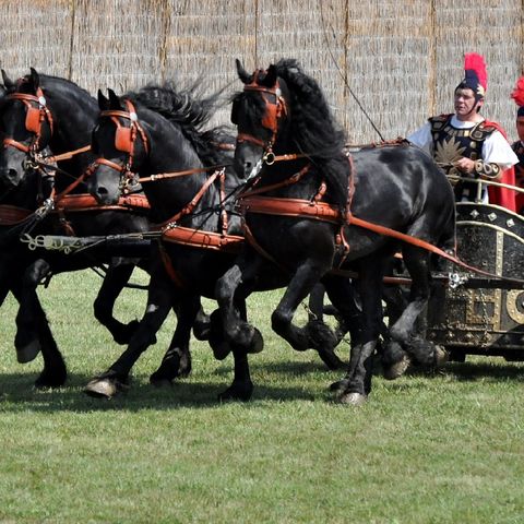 16 Września