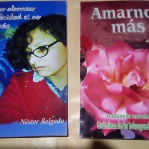 Se Publicará La Novela El Renacer Del Amor