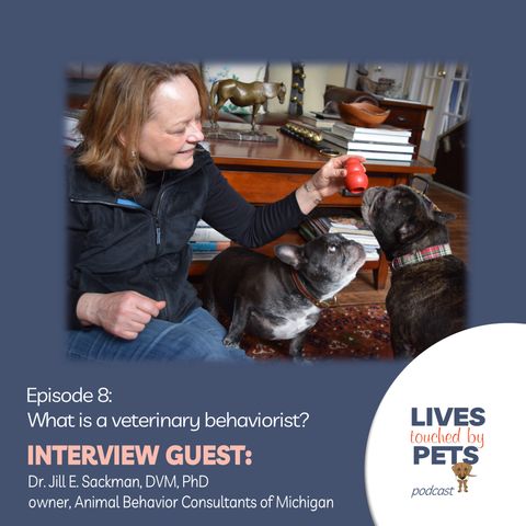 Episode 8: What is a veterinary behaviorist and who should seek one?
