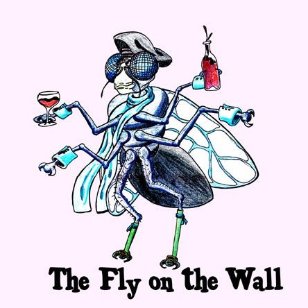 A Fly On The Wall