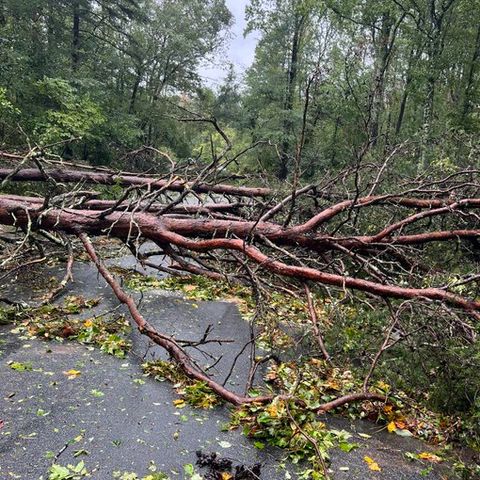 Hurricane Helene Devastation Live Western North Carolina