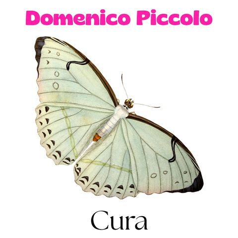 Cura