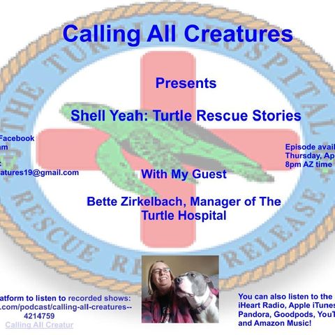 Calling All Creatures Presents Shell Yeah! Turtle Rescue Stories