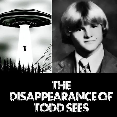 The Disappearance of Todd Sees