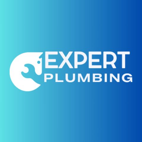 Expert Plumbing Services