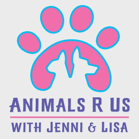 Episode 14: Pet Safety In Summer, Rocky's Story, Animal Tales