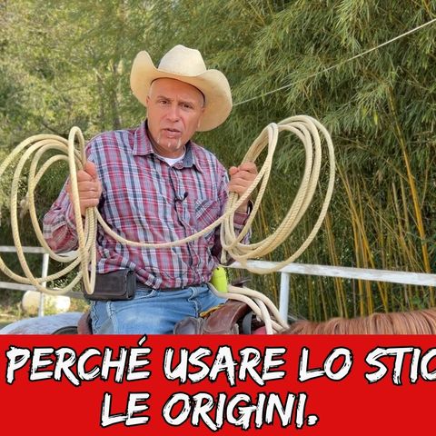 # 134 - Ma perché usare lo stick. Le origini