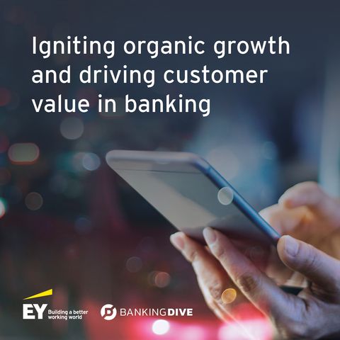 Igniting organic growth and driving customer value in banking