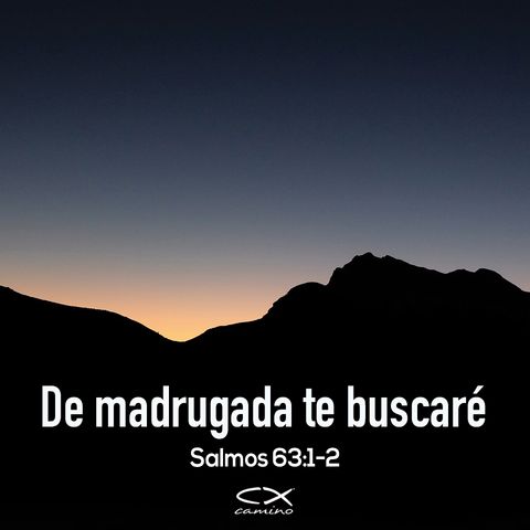 Oración 23 de agosto ( De madrugada te buscaré )