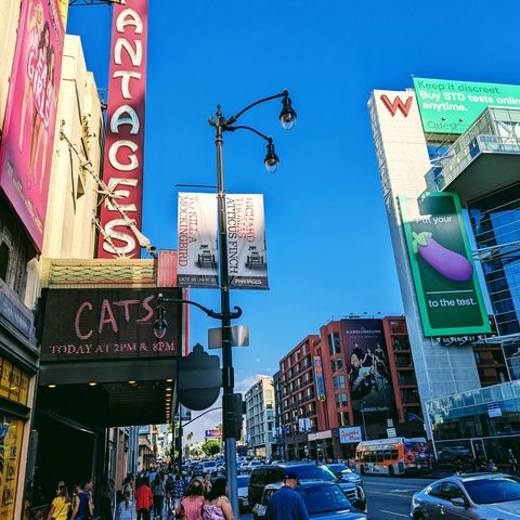 Episode 14 - CATS at the Pantages Theatre