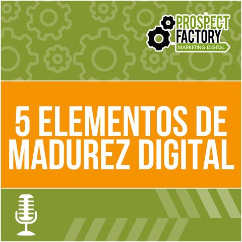 5 elementos de madurez digital | Prospect Factory