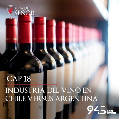 Industria del vino en Chile versus Argentina