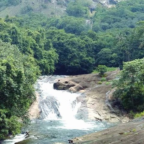 ചുറ്റും ഇടതൂർന്ന കാട്, നടുവിൽ പ്രകൃതി തീർത്ത ചിത്രംപോലെ ആഢ്യൻപാറ |  Adyanpara Waterfalls Nilambur