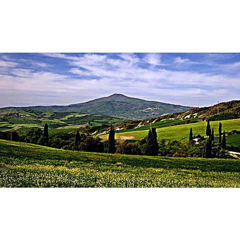Monte Amiata, i boschi e le vigne (Toscana)